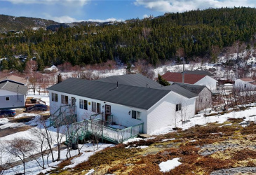 58 MOUNTAIN VIEW ROAD, SALVAGE, Newfoundland, Canada A0G 3X0, ,4 BathroomsBathrooms,Residential,For Sale,MOUNTAIN VIEW ROAD,6160
