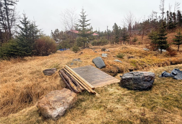 11 SOUTHERN COVE ROAD, CHAPEL ARM, Newfoundland, Canada A0B 1L0, ,1 BathroomBathrooms,Residential,For Sale,SOUTHERN COVE ROAD,6163
