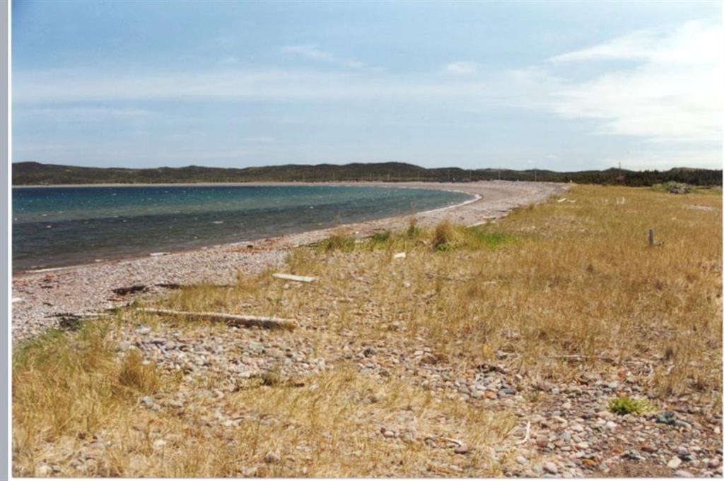 30 MAIN STREET, FRENCHMAN'S COVE, Newfoundland, Canada A0E 1R0, ,0,Land,For Sale,MAIN STREET,6169