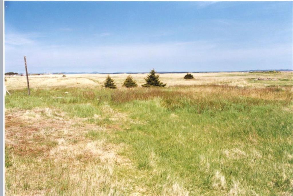 30 MAIN STREET, FRENCHMAN'S COVE, Newfoundland, Canada A0E 1R0, ,0,Land,For Sale,MAIN STREET,6169