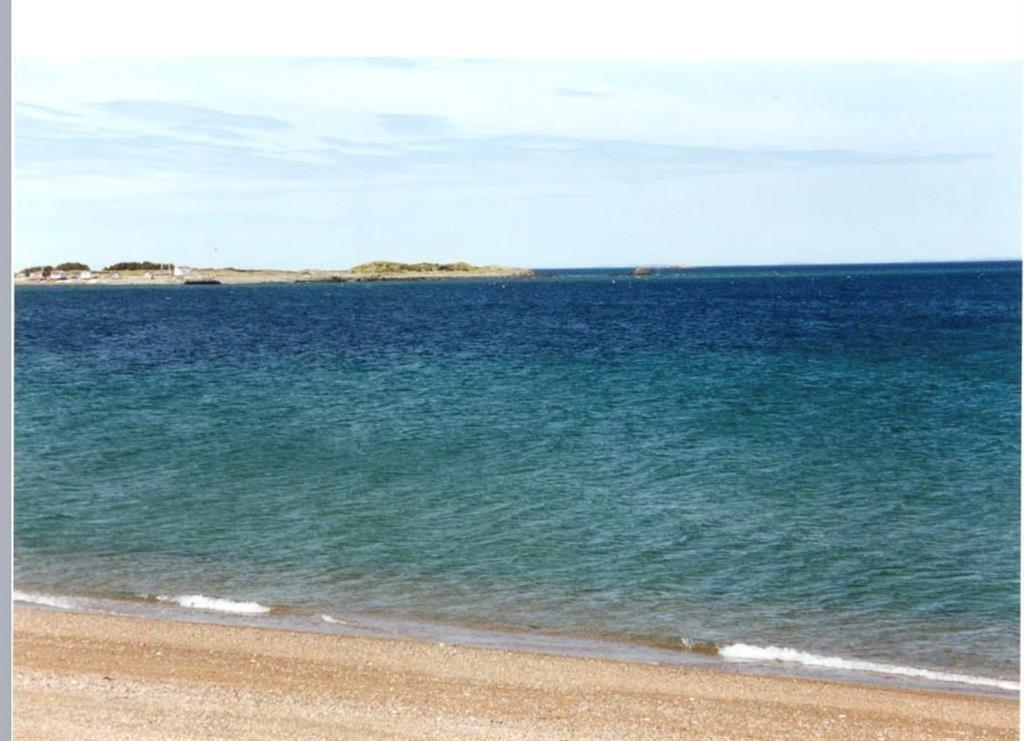 30 MAIN STREET, FRENCHMAN'S COVE, Newfoundland, Canada A0E 1R0, ,0,Land,For Sale,MAIN STREET,6169