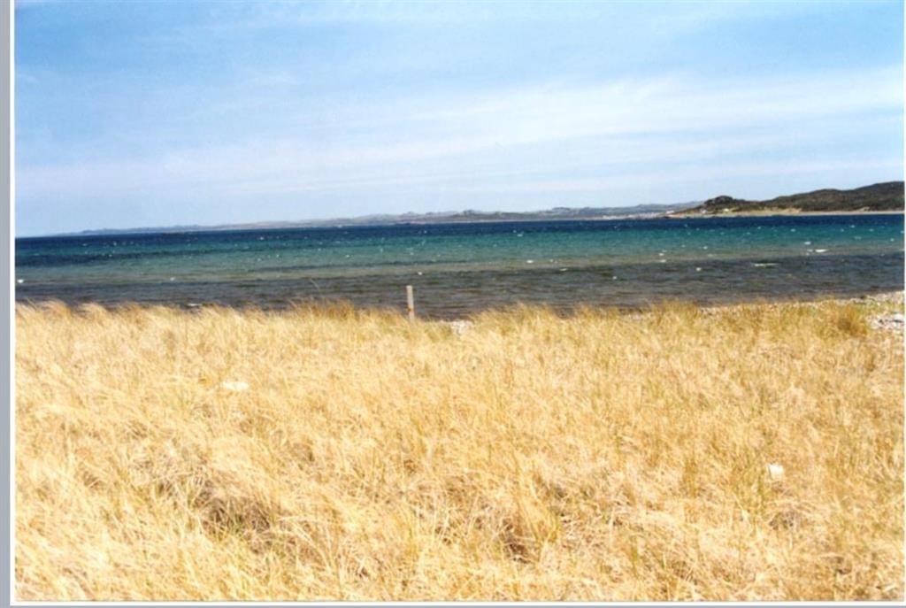 30 MAIN STREET, FRENCHMAN'S COVE, Newfoundland, Canada A0E 1R0, ,0,Land,For Sale,MAIN STREET,6169
