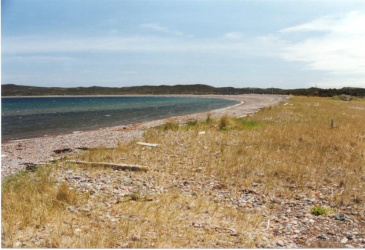 30 MAIN STREET, FRENCHMAN'S COVE, Newfoundland, Canada A0E 1R0, ,0,Land,For Sale,MAIN STREET,6169