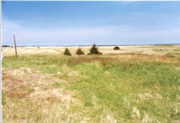30 MAIN STREET, FRENCHMAN'S COVE, Newfoundland, Canada A0E 1R0, ,0,Land,For Sale,MAIN STREET,6169