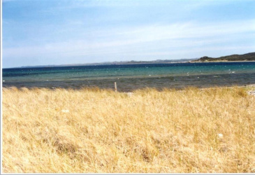 30 MAIN STREET, FRENCHMAN'S COVE, Newfoundland, Canada A0E 1R0, ,0,Land,For Sale,MAIN STREET,6169