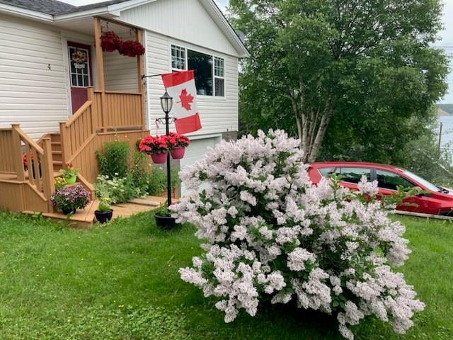 4 STRONGS ROAD, CLARENVILLE, Newfoundland, Canada A5A 1X7, ,1 BathroomBathrooms,Residential,For Sale,STRONGS ROAD,6171