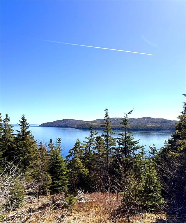 372 MAIN ROAD, SUNNYSIDE, Newfoundland, Canada A0B 3J0, ,1 BathroomBathrooms,Residential,For Sale,MAIN ROAD,6177