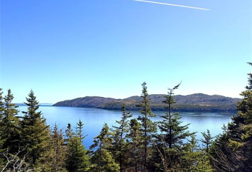 372 MAIN ROAD, SUNNYSIDE, Newfoundland, Canada A0B 3J0, ,1 BathroomBathrooms,Residential,For Sale,MAIN ROAD,6177 372 MAIN ROAD, SUNNYSIDE, Newfoundland, Canada A0B 3J0, ,1 BathroomBathrooms,Residential,For Sale,MAIN ROAD,6177
