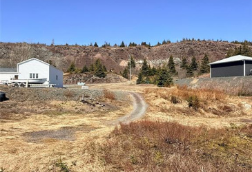 372 MAIN ROAD, SUNNYSIDE, Newfoundland, Canada A0B 3J0, ,1 BathroomBathrooms,Residential,For Sale,MAIN ROAD,6177 372 MAIN ROAD, SUNNYSIDE, Newfoundland, Canada A0B 3J0, ,1 BathroomBathrooms,Residential,For Sale,MAIN ROAD,6177