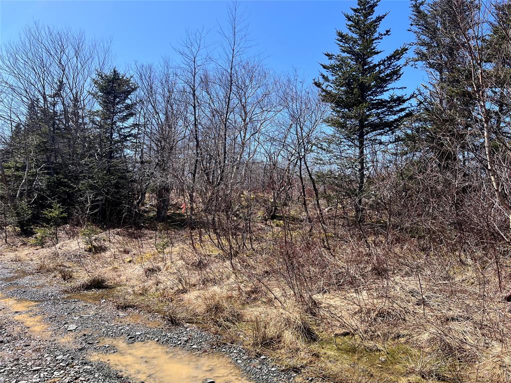 LOT 3 WHISKEY HILL, BAY ROBERTS, Newfoundland, Canada A0A 3V0, ,0,Residential,For Sale,WHISKEY HILL,6178