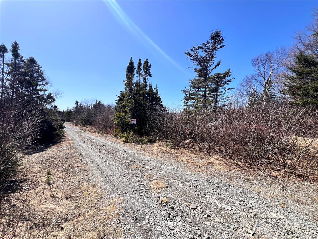LOT 3 WHISKEY HILL, BAY ROBERTS, Newfoundland, Canada A0A 3V0, ,0,Residential,For Sale,WHISKEY HILL,6178