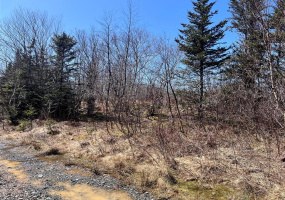 LOT 3 WHISKEY HILL, BAY ROBERTS, Newfoundland, Canada A0A 3V0, ,0,Residential,For Sale,WHISKEY HILL,6178