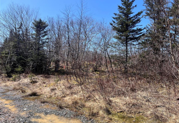 LOT 3 WHISKEY HILL, BAY ROBERTS, Newfoundland, Canada A0A 3V0, ,0,Residential,For Sale,WHISKEY HILL,6178