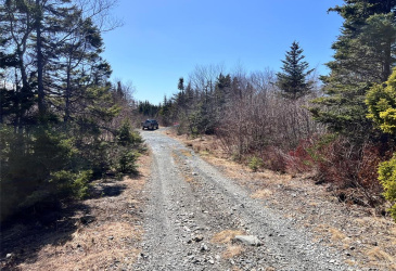 LOT 3 WHISKEY HILL, BAY ROBERTS, Newfoundland, Canada A0A 3V0, ,0,Residential,For Sale,WHISKEY HILL,6178