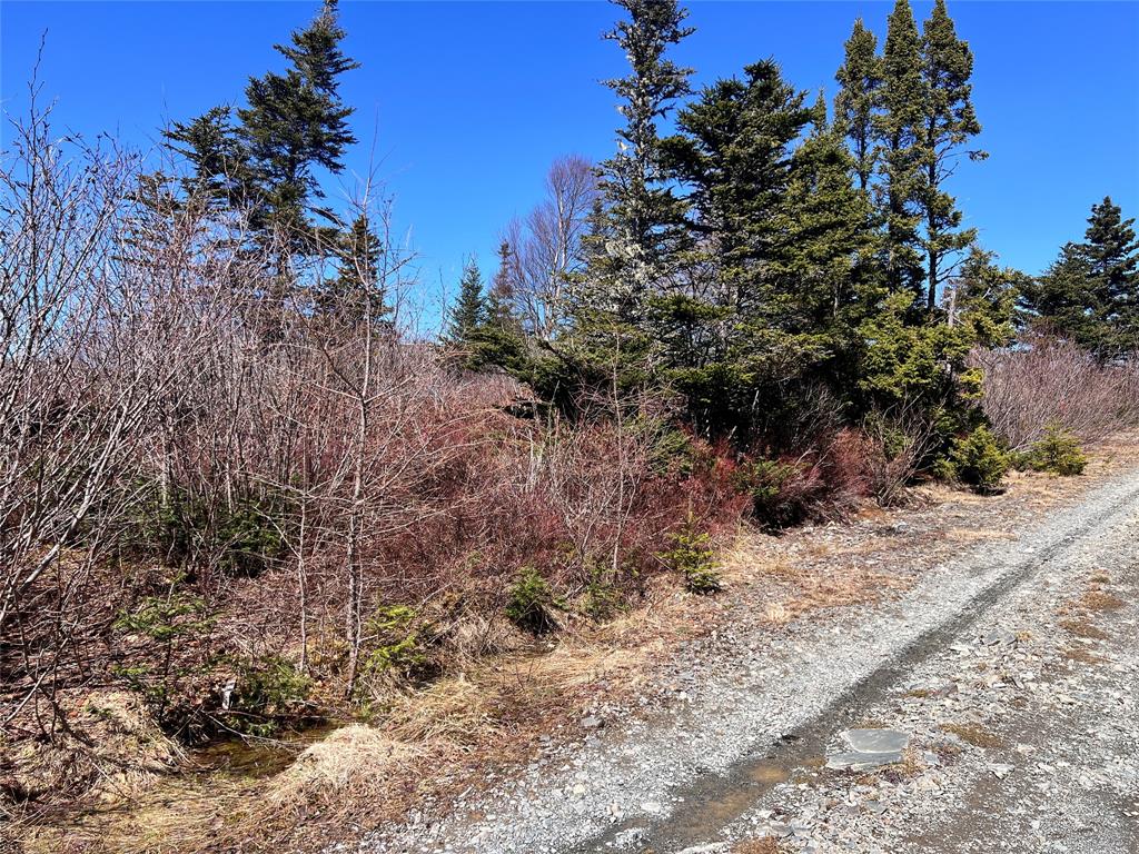 LOT 14 WHISKEY HILL, BAY ROBERTS, Newfoundland, Canada A0A 3V0, ,0,Land,For Sale,WHISKEY HILL,6179