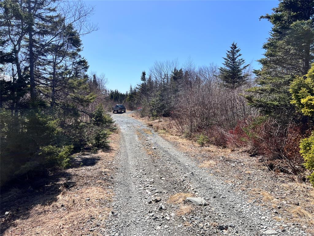LOT 14 WHISKEY HILL, BAY ROBERTS, Newfoundland, Canada A0A 3V0, ,0,Land,For Sale,WHISKEY HILL,6179