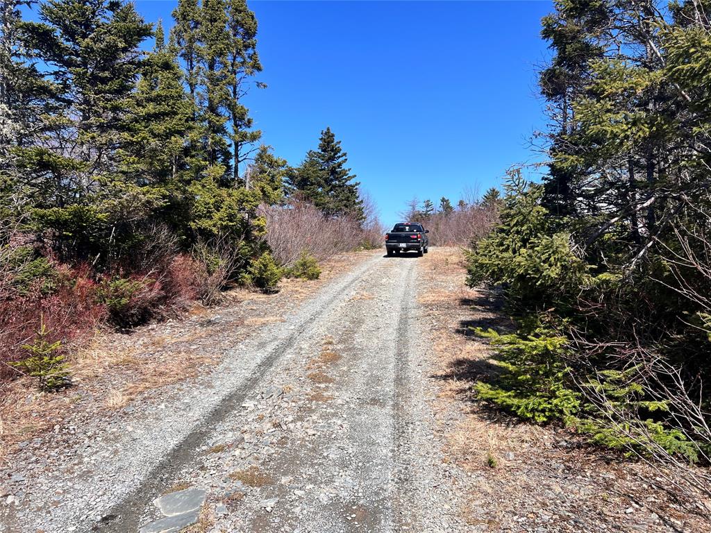 LOT 14 WHISKEY HILL, BAY ROBERTS, Newfoundland, Canada A0A 3V0, ,0,Land,For Sale,WHISKEY HILL,6179