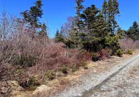 LOT 14 WHISKEY HILL, BAY ROBERTS, Newfoundland, Canada A0A 3V0, ,0,Land,For Sale,WHISKEY HILL,6179