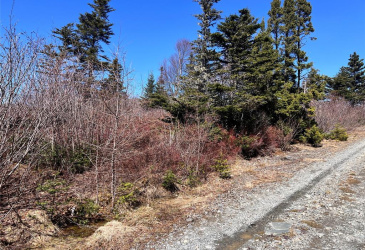 LOT 14 WHISKEY HILL, BAY ROBERTS, Newfoundland, Canada A0A 3V0, ,0,Land,For Sale,WHISKEY HILL,6179