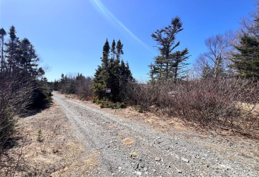 LOT 14 WHISKEY HILL, BAY ROBERTS, Newfoundland, Canada A0A 3V0, ,0,Land,For Sale,WHISKEY HILL,6179