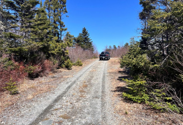 LOT 14 WHISKEY HILL, BAY ROBERTS, Newfoundland, Canada A0A 3V0, ,0,Land,For Sale,WHISKEY HILL,6179