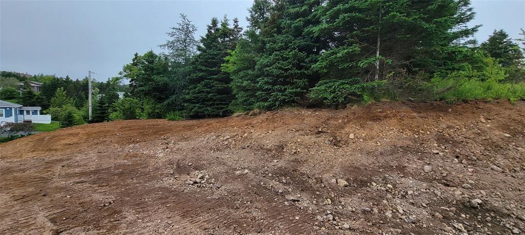 13 KING'S ROAD, MARYSTOWN, Newfoundland, Canada A0E 2M0, ,0,Residential,For Sale,KING'S ROAD,6181
