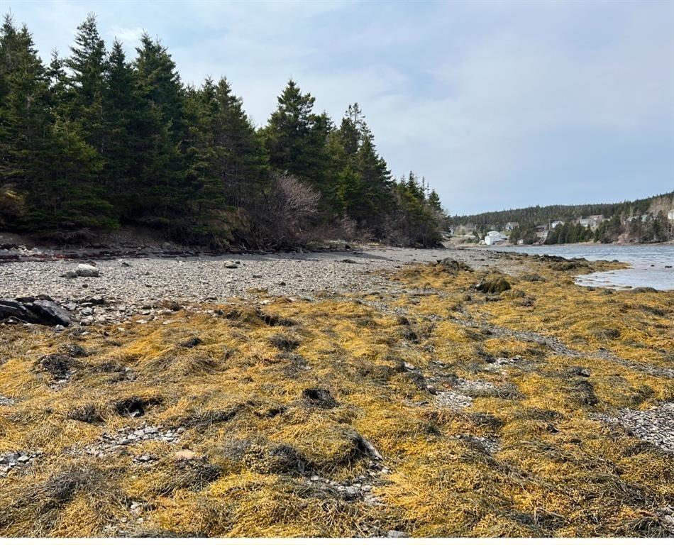 213A CRESTON BOULEVARD, MARYSTOWN, Newfoundland, Canada A0E 2M0, ,0,Residential,For Sale,CRESTON BOULEVARD,6183