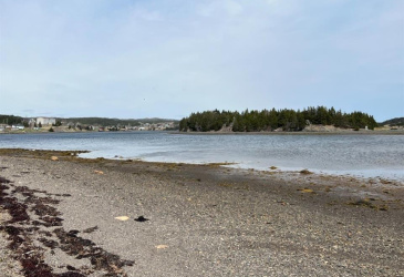 213A CRESTON BOULEVARD, MARYSTOWN, Newfoundland, Canada A0E 2M0, ,0,Residential,For Sale,CRESTON BOULEVARD,6183