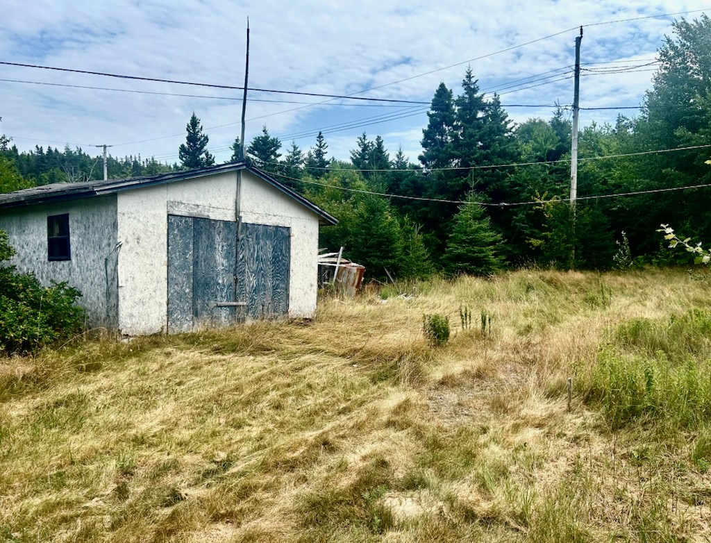 30 MAIN ROAD, LITTLE HEART'S EASE, Newfoundland, Canada A0E 2K0, ,0,Residential,For Sale,MAIN ROAD,6185