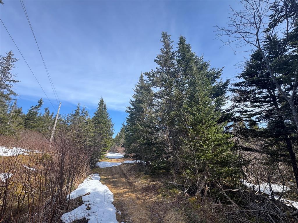 0 CABLE ROAD, HILLVIEW, Newfoundland, Canada A0E 2A0, ,0,Residential,For Sale,CABLE ROAD,6186