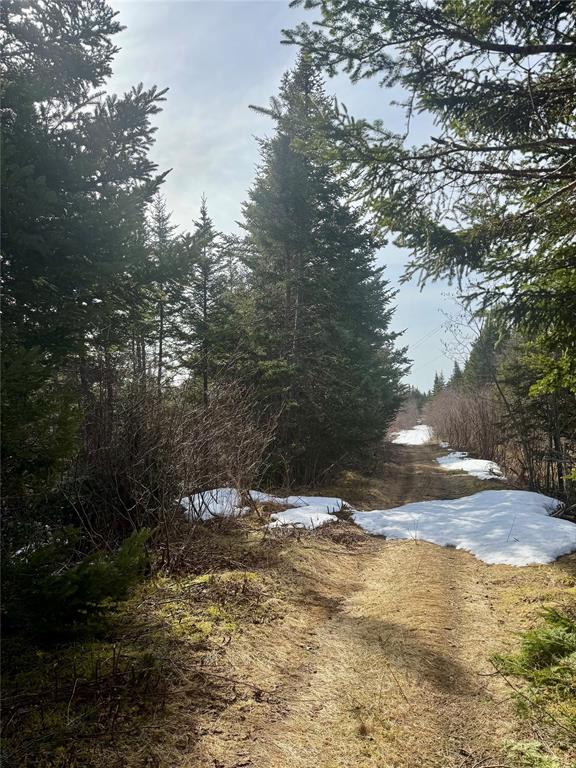 0 CABLE ROAD, HILLVIEW, Newfoundland, Canada A0E 2A0, ,0,Residential,For Sale,CABLE ROAD,6186