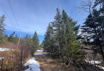 0 CABLE ROAD, HILLVIEW, Newfoundland, Canada A0E 2A0, ,0,Residential,For Sale,CABLE ROAD,6186