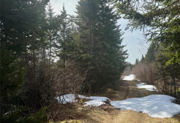 0 CABLE ROAD, HILLVIEW, Newfoundland, Canada A0E 2A0, ,0,Residential,For Sale,CABLE ROAD,6186
