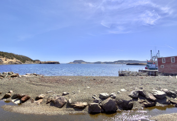 5 MAIN ROAD, TRINITY EAST, Newfoundland, Canada A0C 2H0, ,0,Residential,For Sale,MAIN ROAD,6188