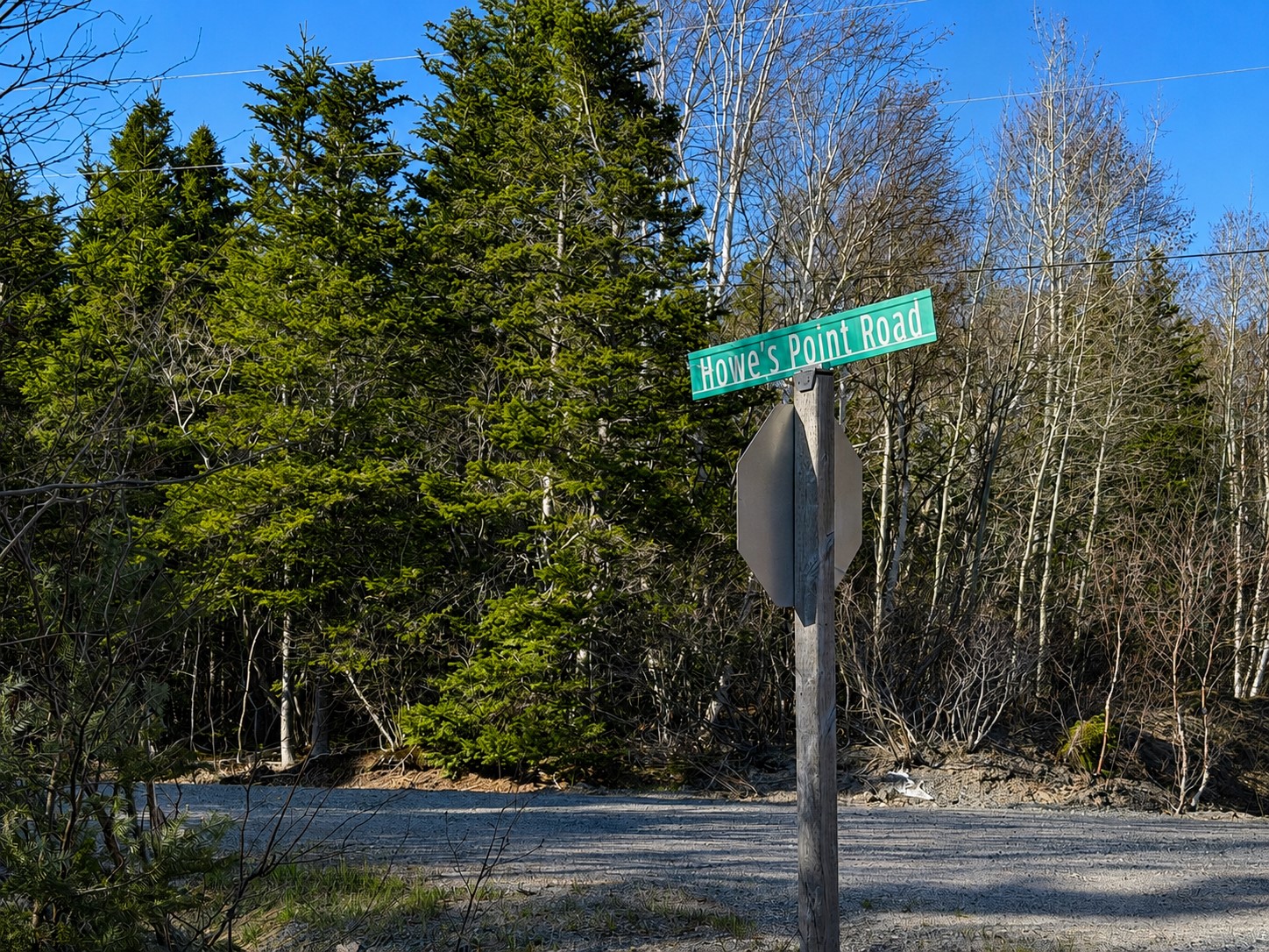 LOT 9 HOWE'S POINT ROAD, PORT BLANDFORD, Newfoundland, Canada A0C 2G0, ,0,Residential,For Sale,HOWE'S POINT ROAD,6190