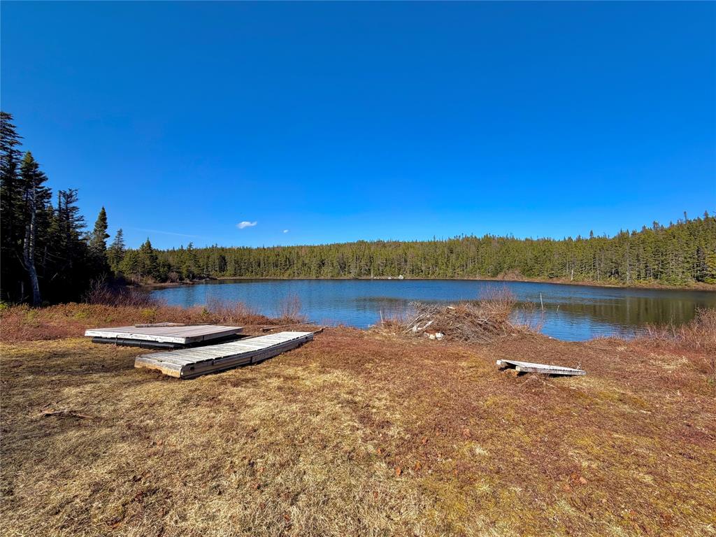 00 BIG POND ROAD, HICKMAN'S HARBOUR, Newfoundland, Canada A0C 0B6, ,1 BathroomBathrooms,Residential,For Sale,BIG POND ROAD,6194