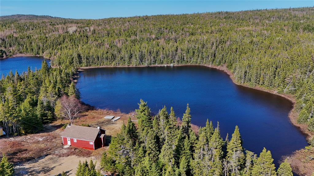 00 BIG POND ROAD, HICKMAN'S HARBOUR, Newfoundland, Canada A0C 0B6, ,1 BathroomBathrooms,Residential,For Sale,BIG POND ROAD,6194