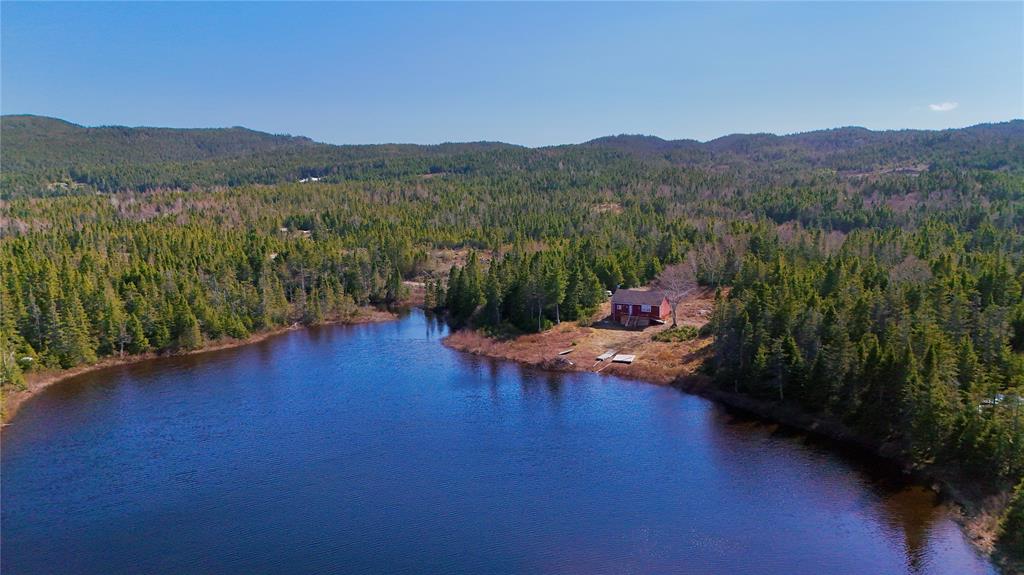 00 BIG POND ROAD, HICKMAN'S HARBOUR, Newfoundland, Canada A0C 0B6, ,1 BathroomBathrooms,Residential,For Sale,BIG POND ROAD,6194