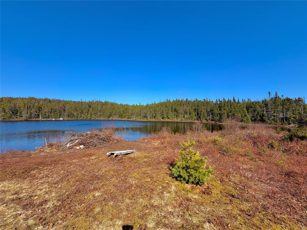 00 BIG POND ROAD, HICKMAN'S HARBOUR, Newfoundland, Canada A0C 0B6, ,1 BathroomBathrooms,Residential,For Sale,BIG POND ROAD,6194