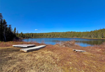 00 BIG POND ROAD, HICKMAN'S HARBOUR, Newfoundland, Canada A0C 0B6, ,1 BathroomBathrooms,Residential,For Sale,BIG POND ROAD,6194 00 BIG POND ROAD, HICKMAN'S HARBOUR, Newfoundland, Canada A0C 0B6, ,1 BathroomBathrooms,Residential,For Sale,BIG POND ROAD,6194