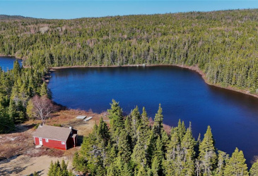 00 BIG POND ROAD, HICKMAN'S HARBOUR, Newfoundland, Canada A0C 0B6, ,1 BathroomBathrooms,Residential,For Sale,BIG POND ROAD,6194 00 BIG POND ROAD, HICKMAN'S HARBOUR, Newfoundland, Canada A0C 0B6, ,1 BathroomBathrooms,Residential,For Sale,BIG POND ROAD,6194