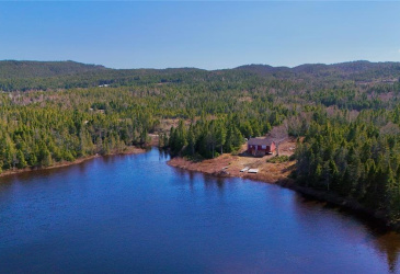 00 BIG POND ROAD, HICKMAN'S HARBOUR, Newfoundland, Canada A0C 0B6, ,1 BathroomBathrooms,Residential,For Sale,BIG POND ROAD,6194 00 BIG POND ROAD, HICKMAN'S HARBOUR, Newfoundland, Canada A0C 0B6, ,1 BathroomBathrooms,Residential,For Sale,BIG POND ROAD,6194