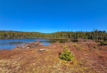 00 BIG POND ROAD, HICKMAN'S HARBOUR, Newfoundland, Canada A0C 0B6, ,1 BathroomBathrooms,Residential,For Sale,BIG POND ROAD,6194 00 BIG POND ROAD, HICKMAN'S HARBOUR, Newfoundland, Canada A0C 0B6, ,1 BathroomBathrooms,Residential,For Sale,BIG POND ROAD,6194