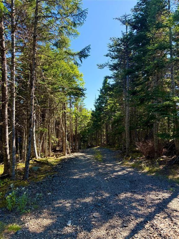 0 LETHBRIDGE FOREST ACCESS ROAD, MEETING POND, Newfoundland, Canada A0C 1B0, ,1 BathroomBathrooms,Residential,For Sale,LETHBRIDGE FOREST ACCESS ROAD,6195
