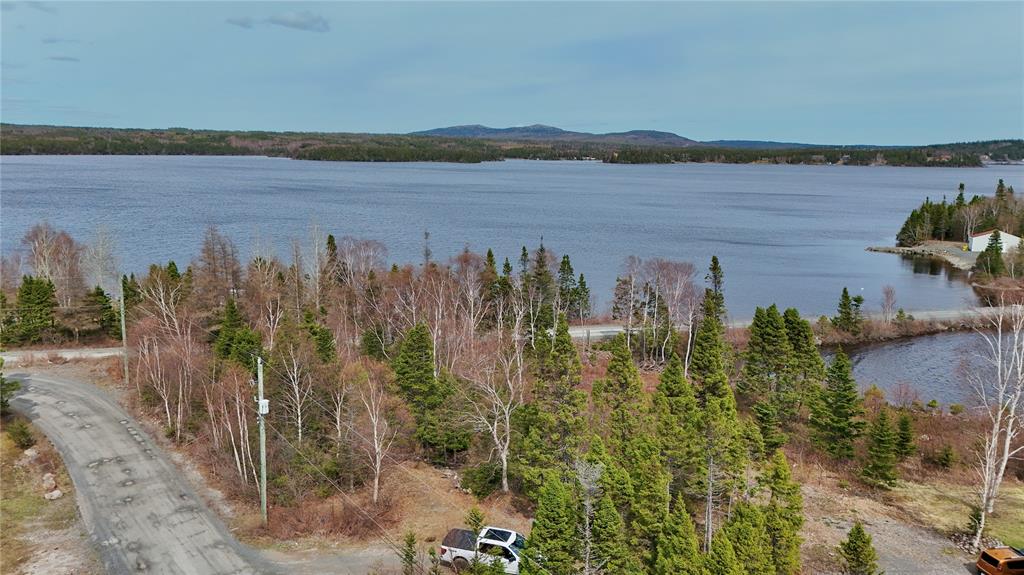 LOT 1 ANGLE POND ROAD, THORBURN LAKE, Newfoundland, Canada A0C 2G0, ,0,Residential,For Sale,ANGLE POND ROAD,6196