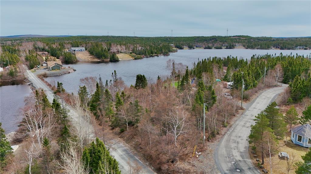LOT 1 ANGLE POND ROAD, THORBURN LAKE, Newfoundland, Canada A0C 2G0, ,0,Residential,For Sale,ANGLE POND ROAD,6196