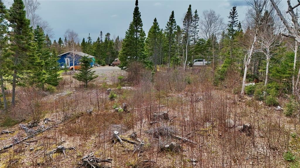 LOT 1 ANGLE POND ROAD, THORBURN LAKE, Newfoundland, Canada A0C 2G0, ,0,Residential,For Sale,ANGLE POND ROAD,6196