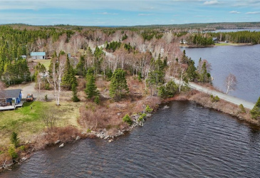LOT 1 ANGLE POND ROAD, THORBURN LAKE, Newfoundland, Canada A0C 2G0, ,0,Residential,For Sale,ANGLE POND ROAD,6196