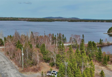 LOT 1 ANGLE POND ROAD, THORBURN LAKE, Newfoundland, Canada A0C 2G0, ,0,Residential,For Sale,ANGLE POND ROAD,6196