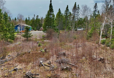 LOT 1 ANGLE POND ROAD, THORBURN LAKE, Newfoundland, Canada A0C 2G0, ,0,Residential,For Sale,ANGLE POND ROAD,6196